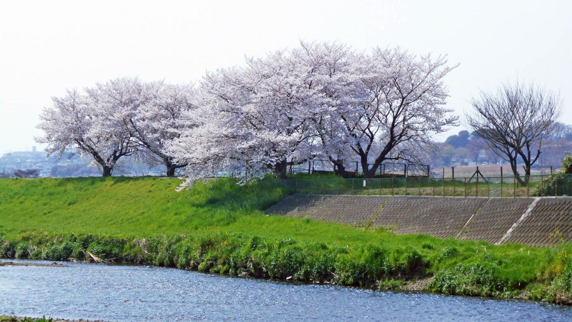 東横inn志木駅東口 Shiki エクステリア 写真