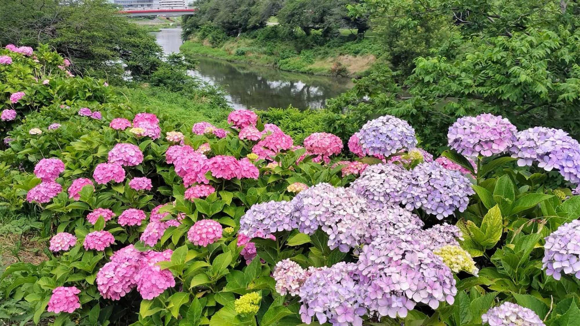 東横inn志木駅東口 Shiki エクステリア 写真